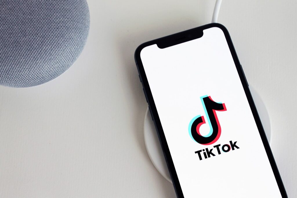 Tik Tok Demographics